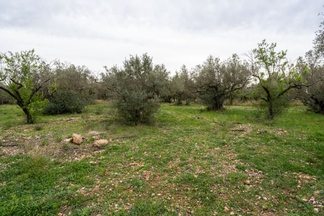 Finca/Casa di Campagna in vendita in Roquetes - 20.000 € (Rif: 9798490)