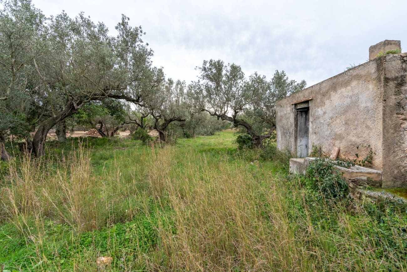 Finca/Casa di Campagna in vendita in Roquetes - 20.000 € (Rif: 9798490)