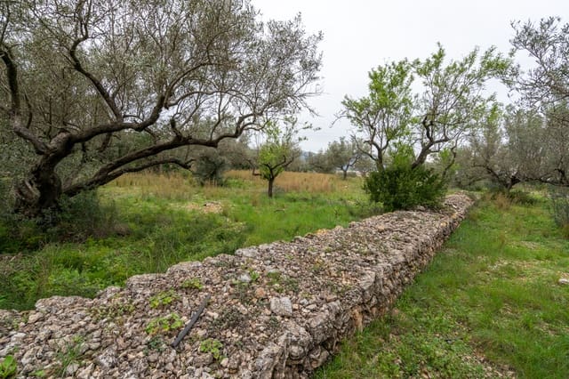 Finca/Casa di Campagna in vendita in Roquetes - 20.000 € (Rif: 9798490)