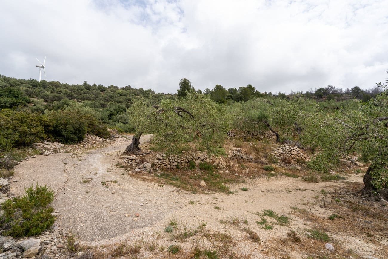 2 quarto Quinta/Casa Rural para venda em Tortosa - 33 000 € (Ref: 9807450)