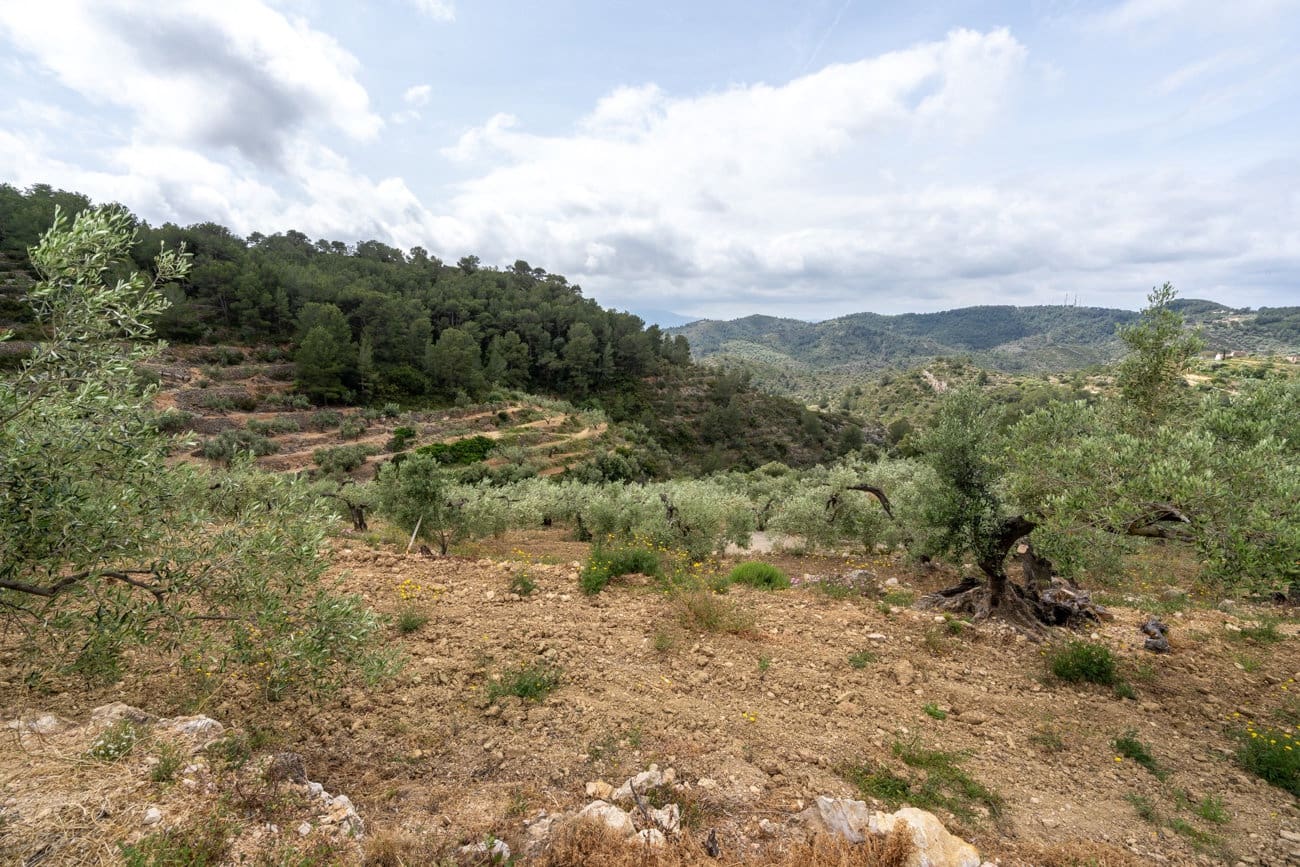 2 quarto Quinta/Casa Rural para venda em Tortosa - 33 000 € (Ref: 9807450)