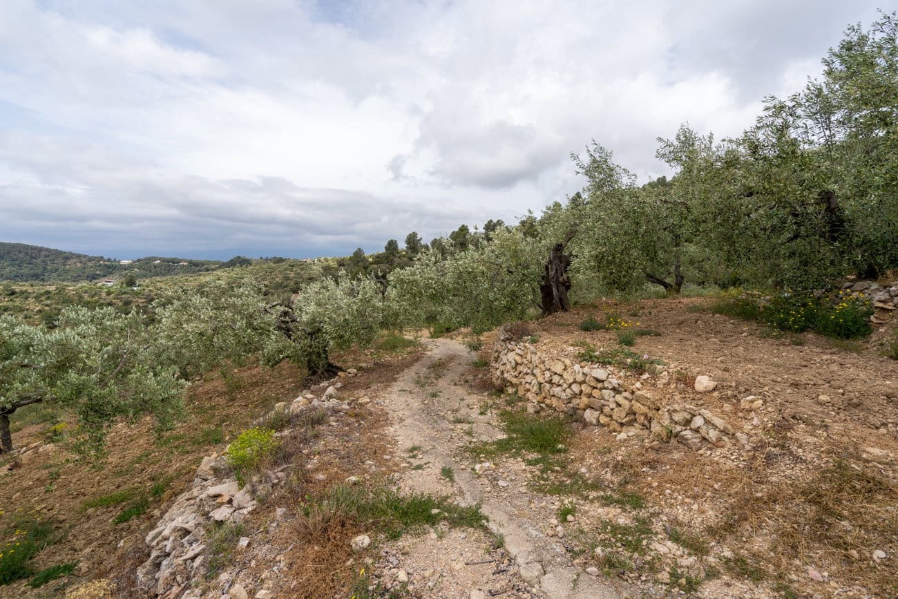 2 quarto Quinta/Casa Rural para venda em Tortosa - 33 000 € (Ref: 9807450)