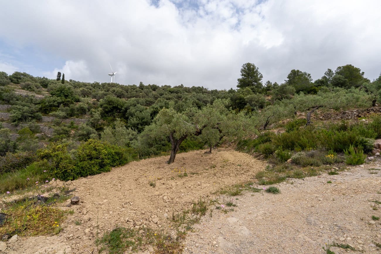 2 quarto Quinta/Casa Rural para venda em Tortosa - 33 000 € (Ref: 9807450)