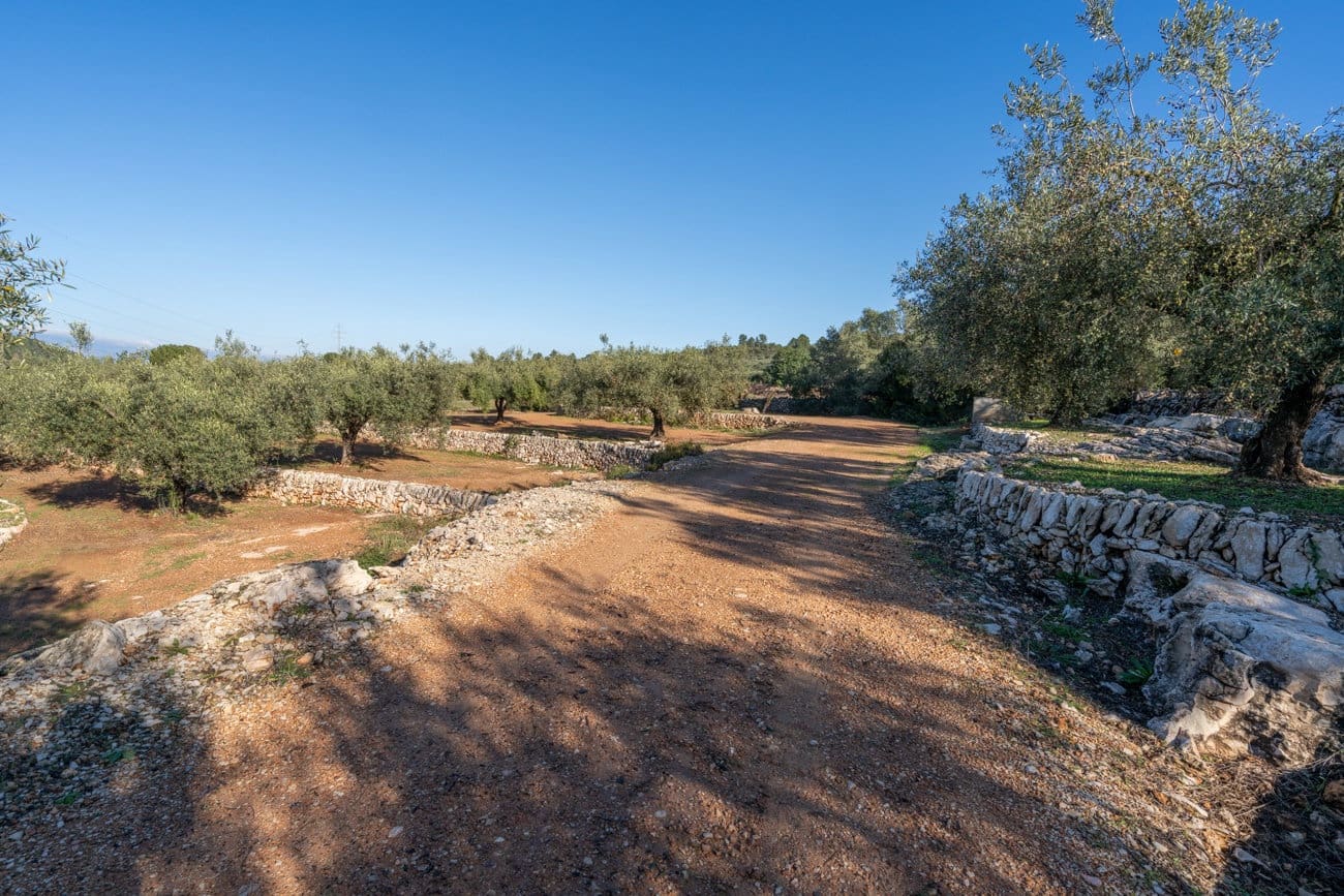 2 bedroom Villa for sale in Freginals with garage - € 225,000 (Ref: 9819336)