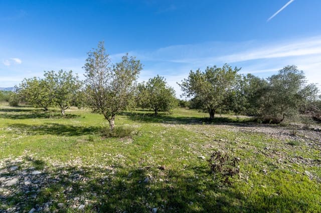 Finca/Landgut zu verkaufen in La Galera - 19.000 € (Ref: 9826805)