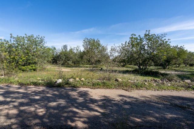Finca/Landgut zu verkaufen in La Galera - 19.000 € (Ref: 9826805)