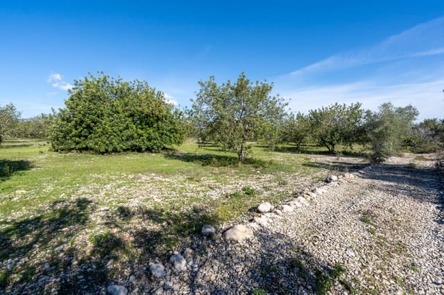 Finca/Landgut zu verkaufen in La Galera - 19.000 € (Ref: 9826805)