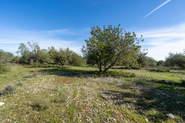 Finca/Landgut zu verkaufen in La Galera - 19.000 € (Ref: 9826805)