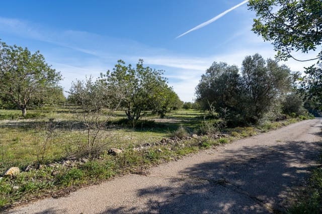 Finca/Landgut zu verkaufen in La Galera - 19.000 € (Ref: 9826805)