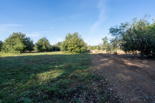 Quinta/Casa Rural para venda em Santa Bàrbara - 40 000 € (Ref: 9826806)