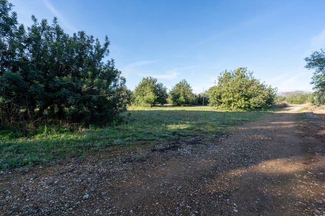 Finca/Casa di Campagna in vendita in Santa Bàrbara - 40.000 € (Rif: 9826806)