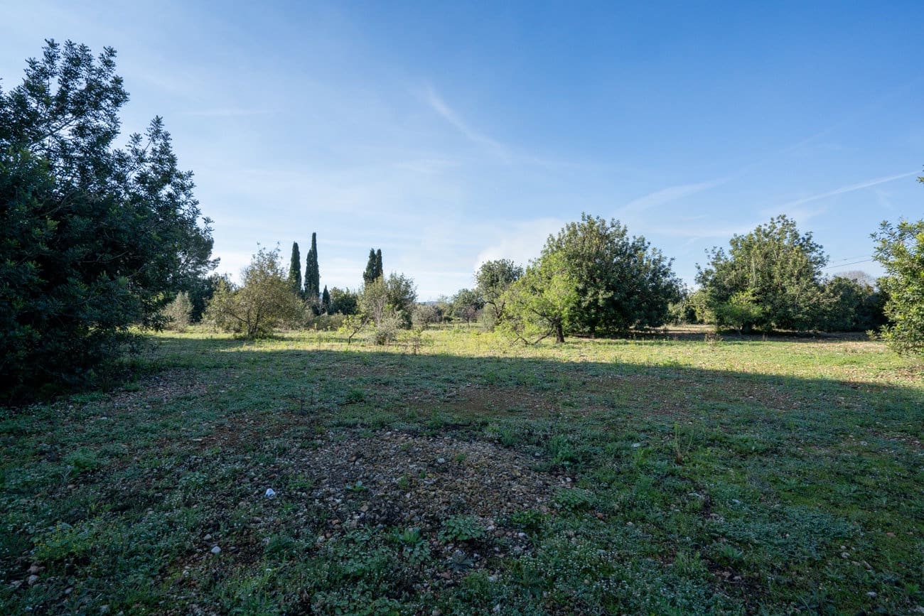 Finca/Country House for sale in Santa Barbara - € 40,000 (Ref: 9826806)