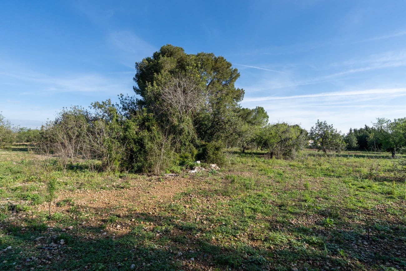 Finca/Country House for sale in Santa Barbara - € 40,000 (Ref: 9826806)