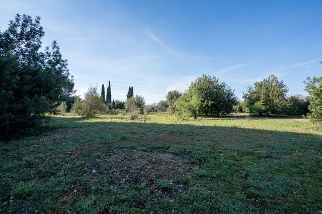 Finca/Casa di Campagna in vendita in Santa Bàrbara - 40.000 € (Rif: 9826806)