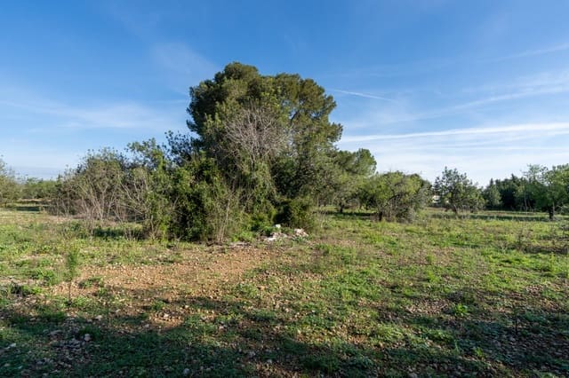 Finca/Casa di Campagna in vendita in Santa Bàrbara - 40.000 € (Rif: 9826806)