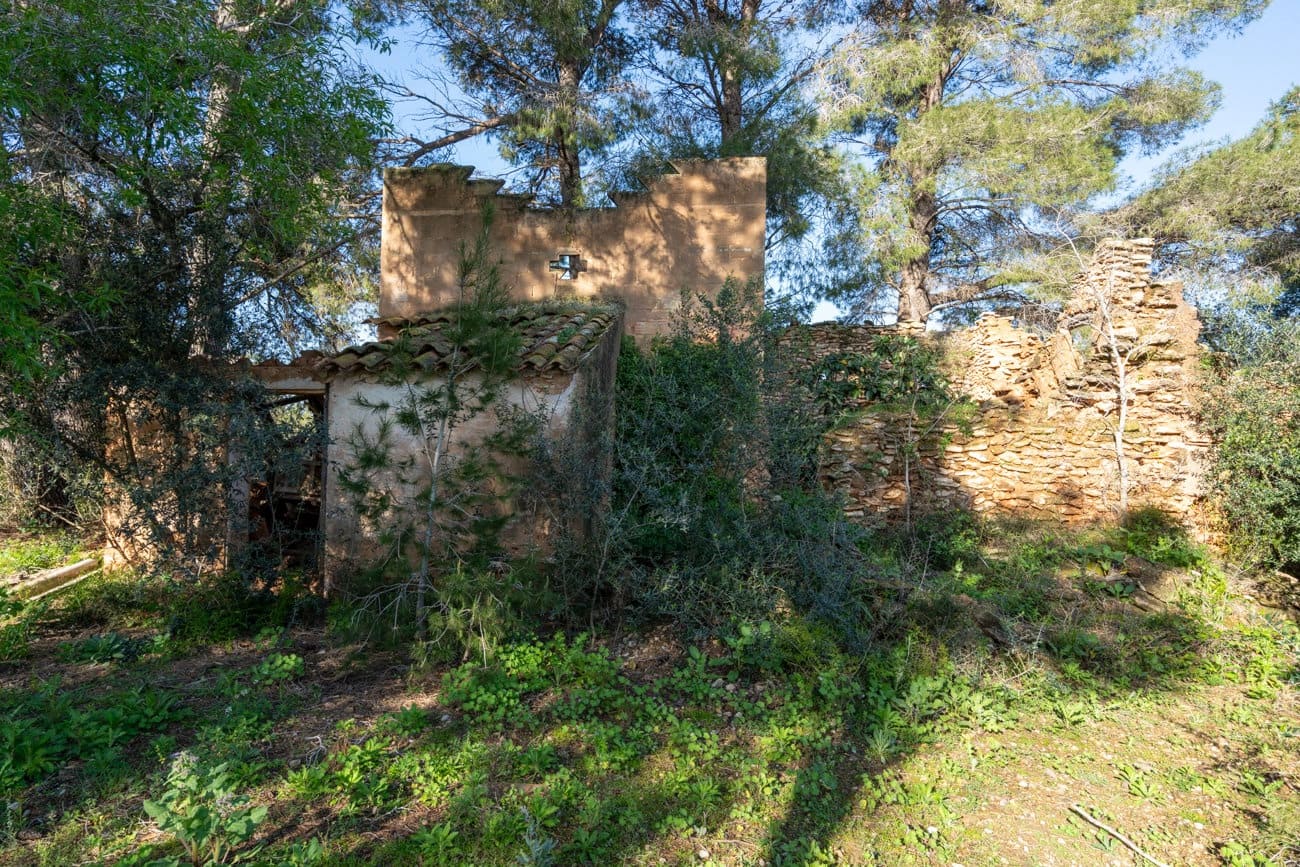 Finca/Country House for sale in Santa Barbara - € 40,000 (Ref: 9826806)