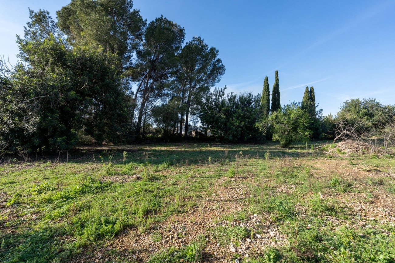 Finca/Country House for sale in Santa Barbara - € 40,000 (Ref: 9826806)