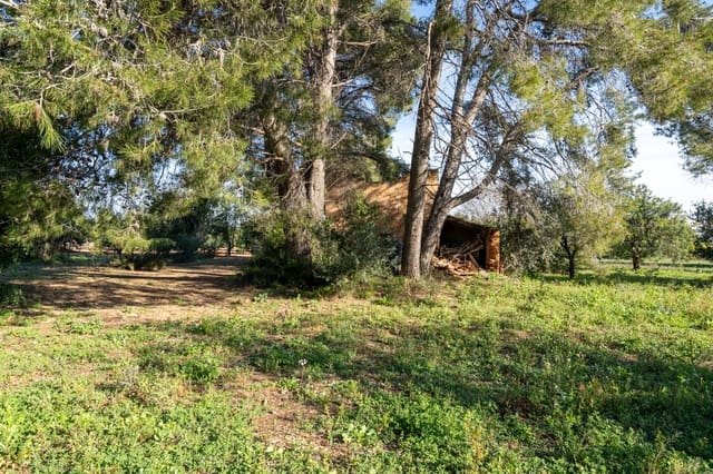 Finca/Casa di Campagna in vendita in Santa Bàrbara - 40.000 € (Rif: 9826806)