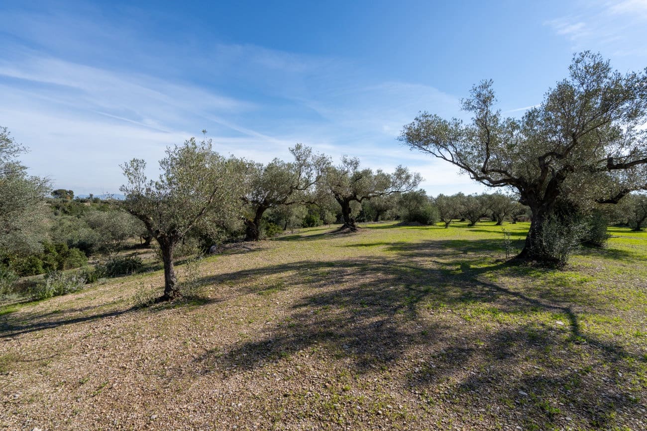 Finca/Country House for sale in La Galera - € 17,000 (Ref: 9827403)