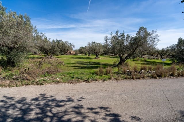Finca/Casa di Campagna in vendita in La Galera - 17.000 € (Rif: 9827403)