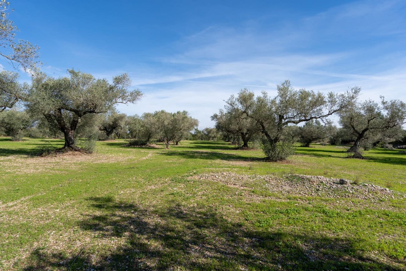 Finca/Country House for sale in La Galera - € 17,000 (Ref: 9827403)