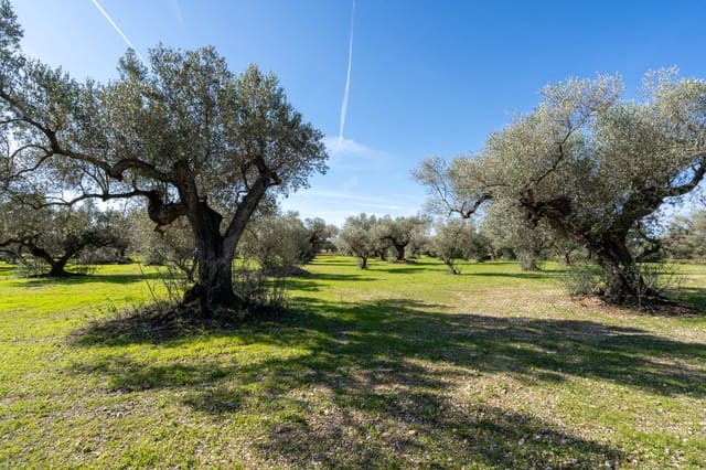 Finca/Casa di Campagna in vendita in La Galera - 17.000 € (Rif: 9827403)