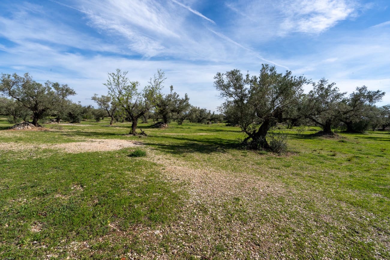 Finca/Landhuis te koop in Mas de Barberans - € 40.000 (Ref: 9828027)