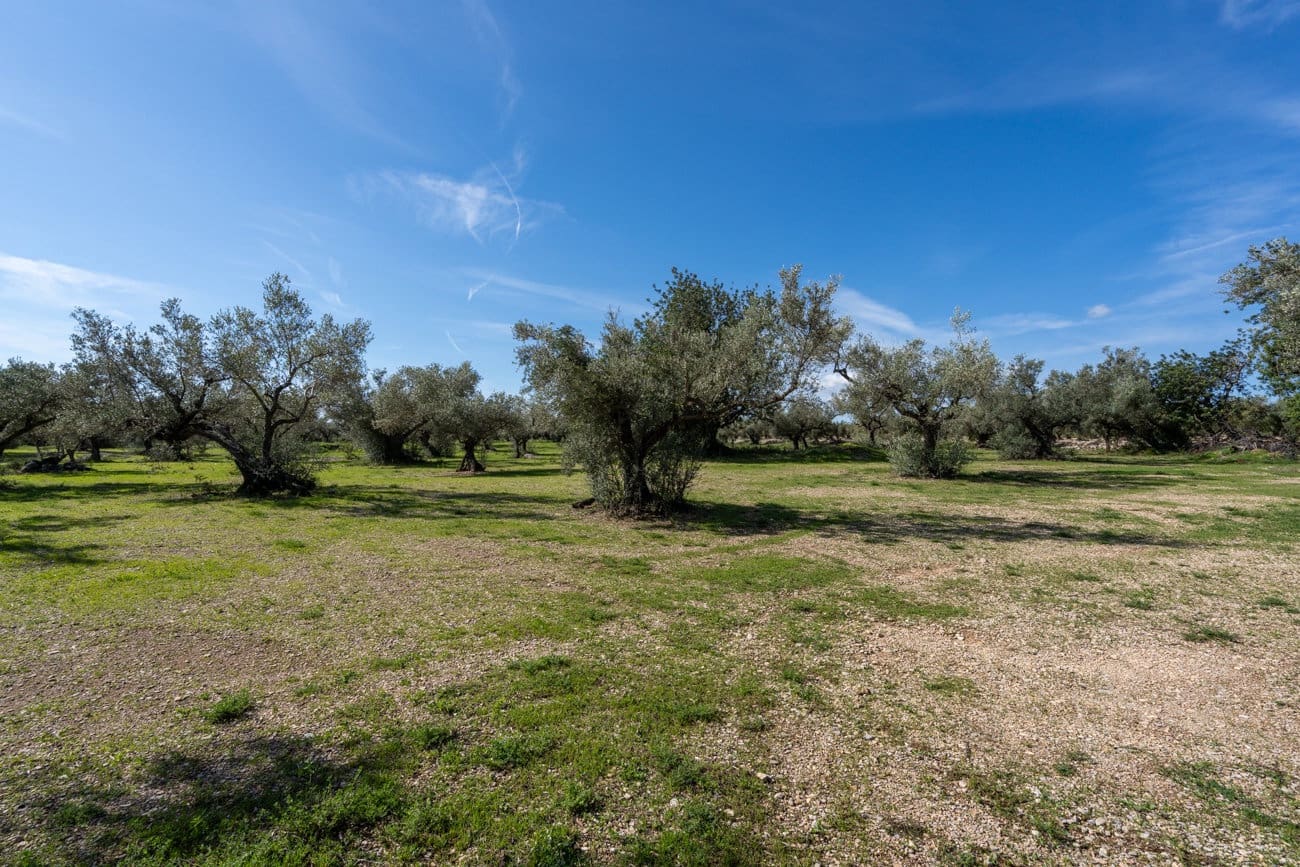 Finca/Landhuis te koop in Mas de Barberans - € 40.000 (Ref: 9828027)