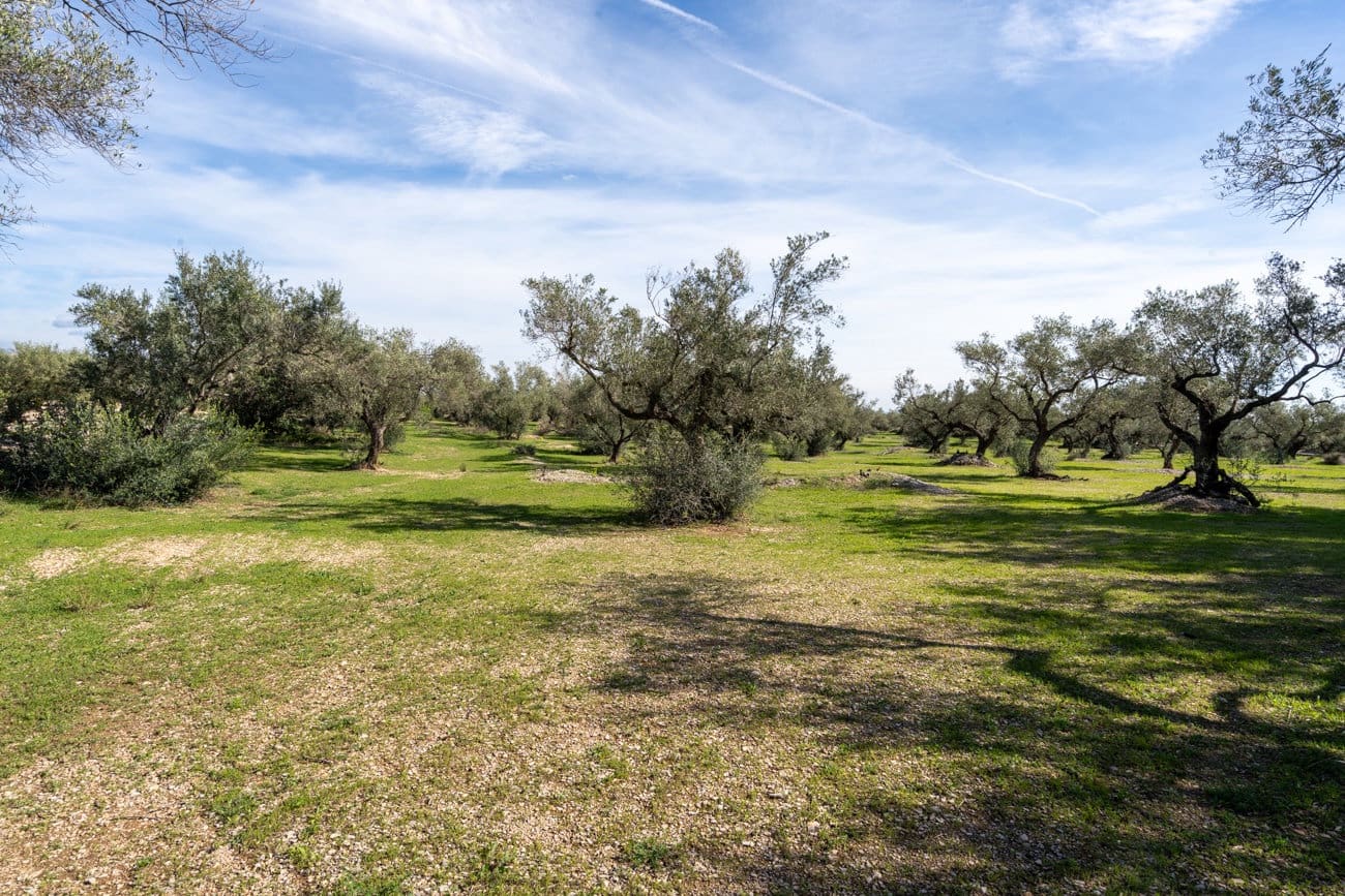 Finca/Landhuis te koop in Mas de Barberans - € 40.000 (Ref: 9828027)