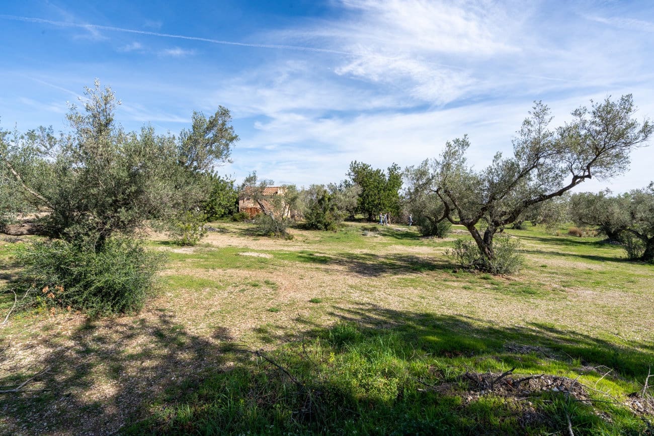 Finca/Landhuis te koop in Mas de Barberans - € 40.000 (Ref: 9828027)