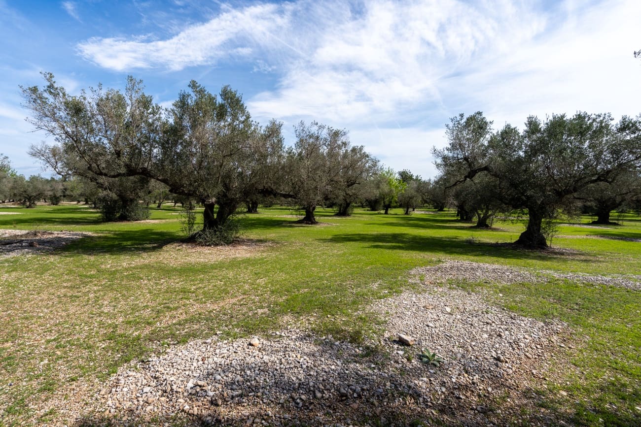 Finca/Country House for sale in Mas de Barberans - € 37,000 (Ref: 9830296)