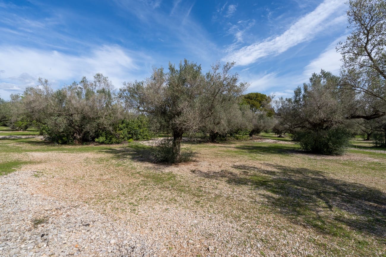 Finca/Country House for sale in Mas de Barberans - € 37,000 (Ref: 9830296)