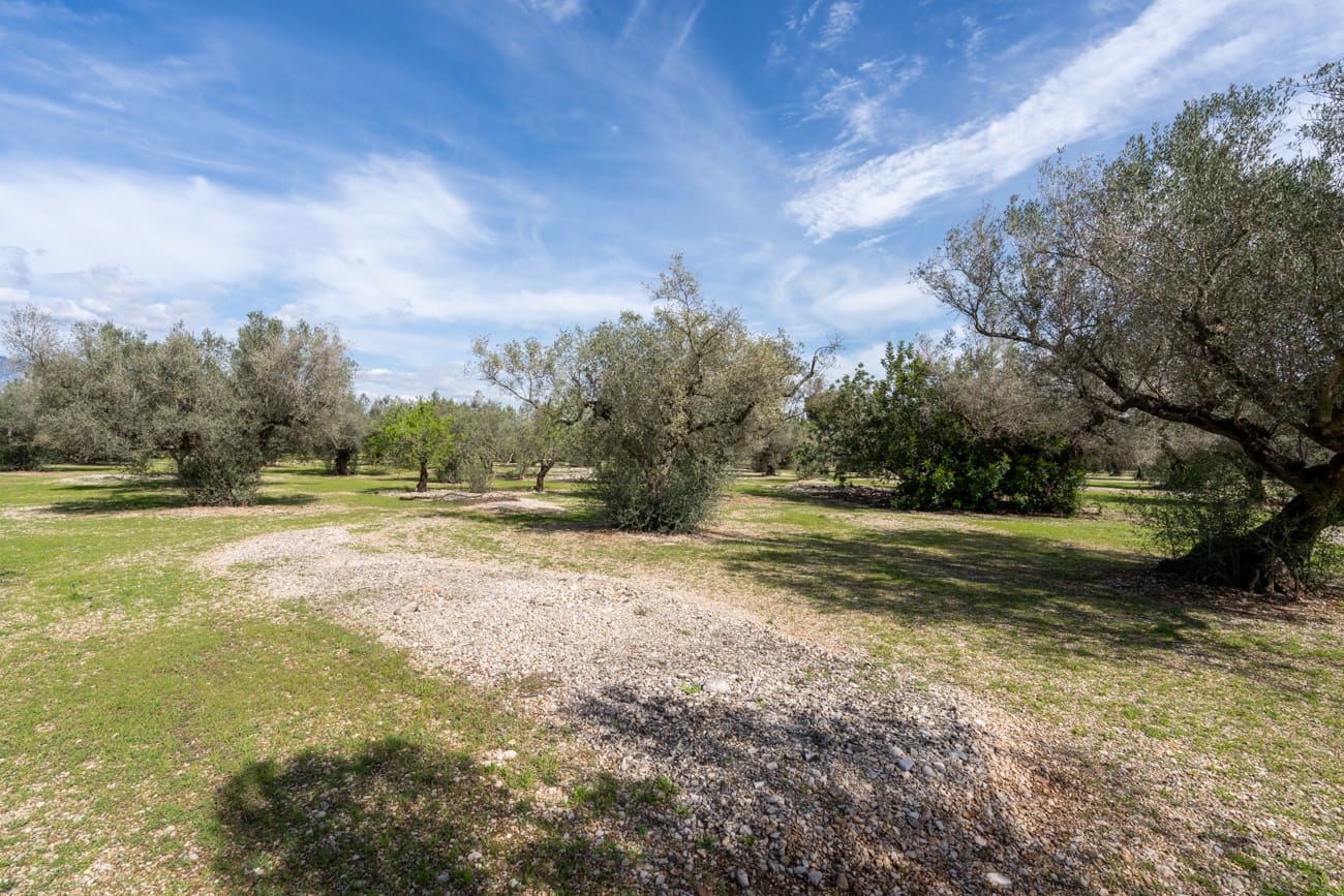 Finca/Country House for sale in Mas de Barberans - € 37,000 (Ref: 9830296)