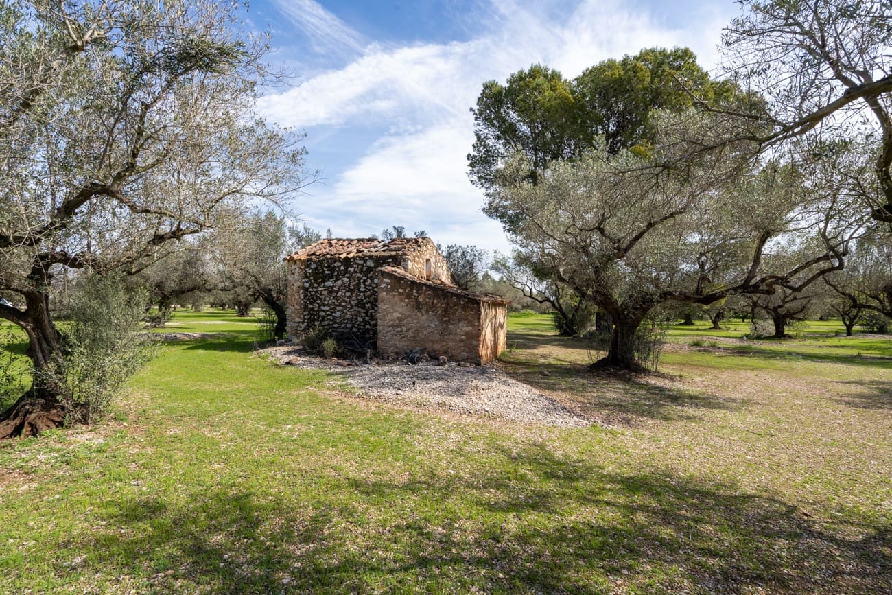 Finca/Country House for sale in Mas de Barberans - € 37,000 (Ref: 9830296)