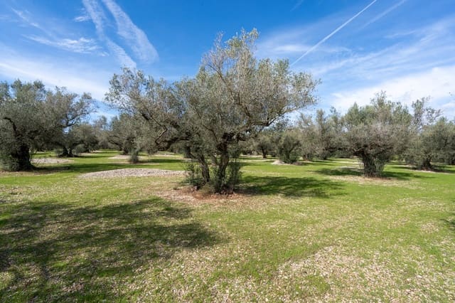 Finca/Country House for sale in Mas de Barberans - € 37,000 (Ref: 9830296)