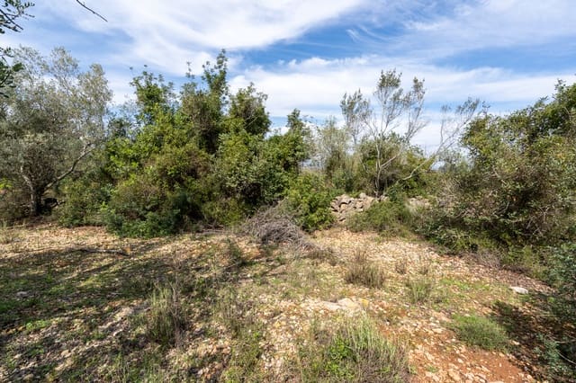 Finca/Landehus til salg i Godall - € 9.000 (Ref: 9830387)