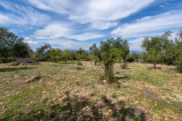 Finca/Herregård til salgs i Godall - € 9 000 (Ref: 9830387)
