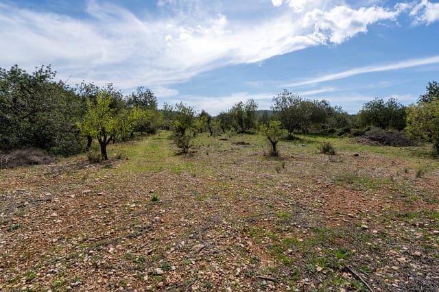 Finca/Herregård til salgs i Godall - € 9 000 (Ref: 9830387)