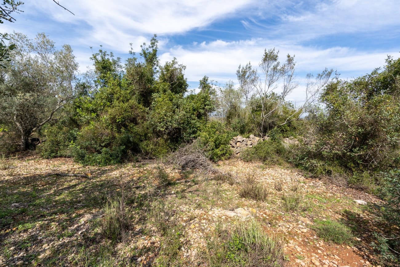 Finca/Casa Rural en Godall en venta - 9.000 € (Ref: 9830387)