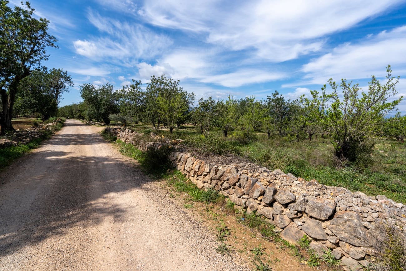 Finca/Casa Rural en Godall en venta - 9.000 € (Ref: 9830387)