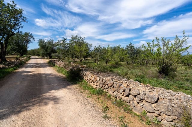 Finca/Herregård til salgs i Godall - € 9 000 (Ref: 9830387)