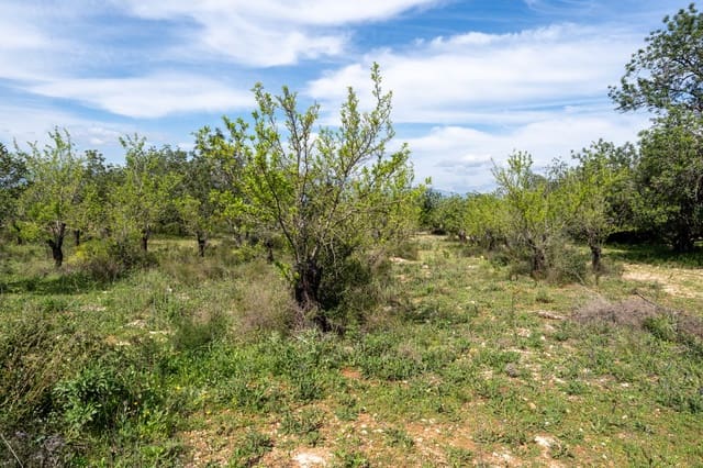 Finca/Herregård til salgs i Godall - € 9 000 (Ref: 9830387)