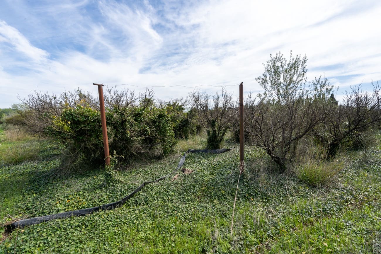 Finca/Country House for sale in Vinallop - € 20,000 (Ref: 9831999)