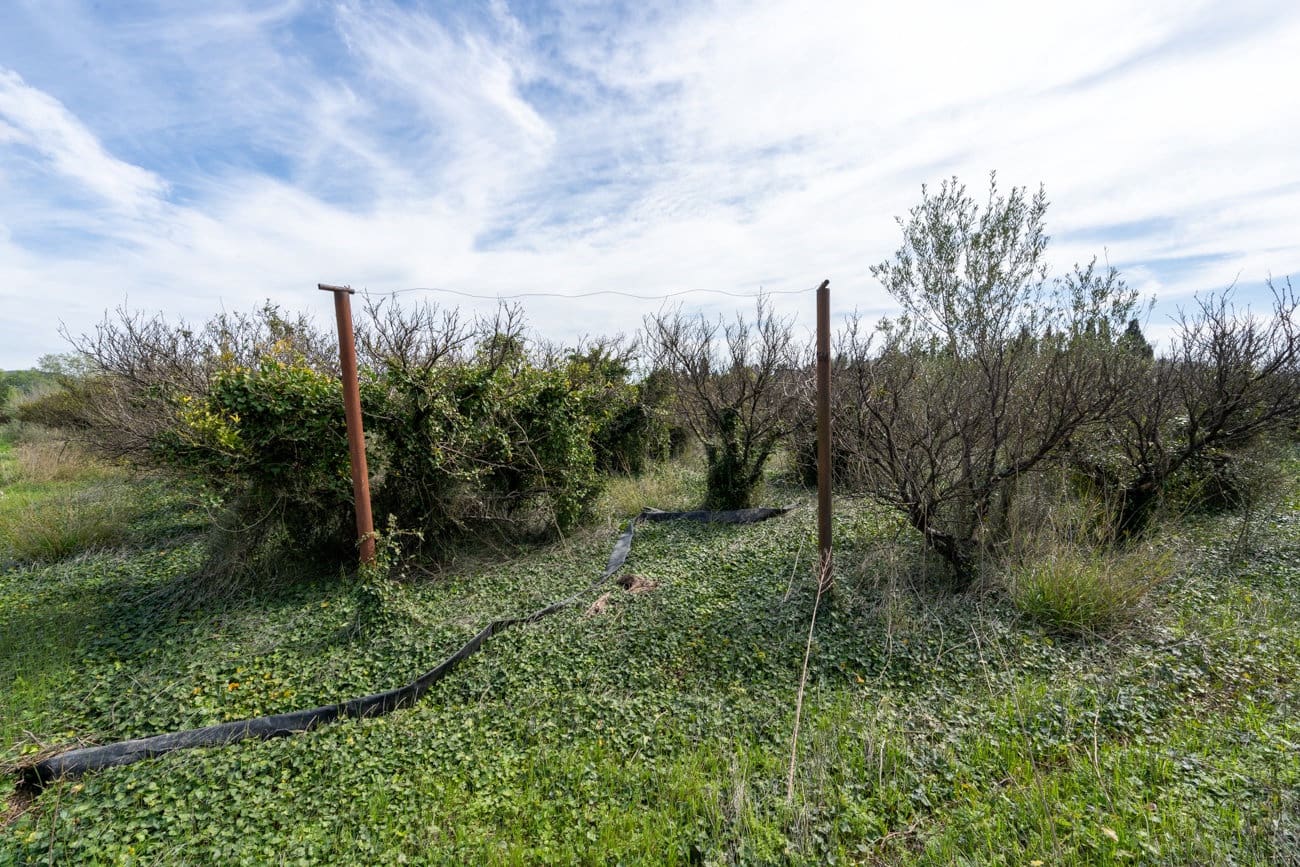 Finca/Landgut zu verkaufen in Tortosa - 20.000 € (Ref: 9831999)