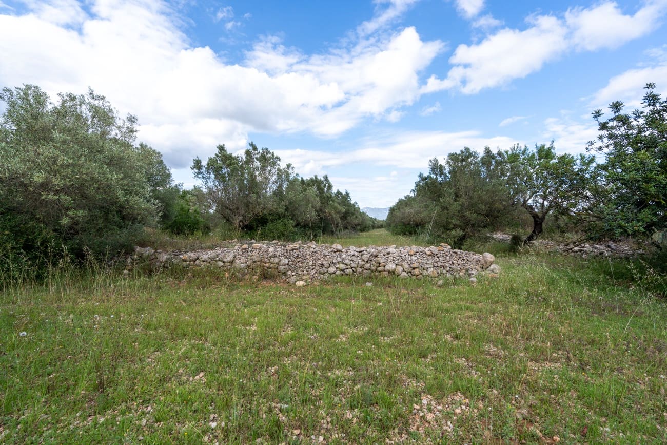 Finca/Country House for sale in Els Reguers - € 40,000 (Ref: 9833993)