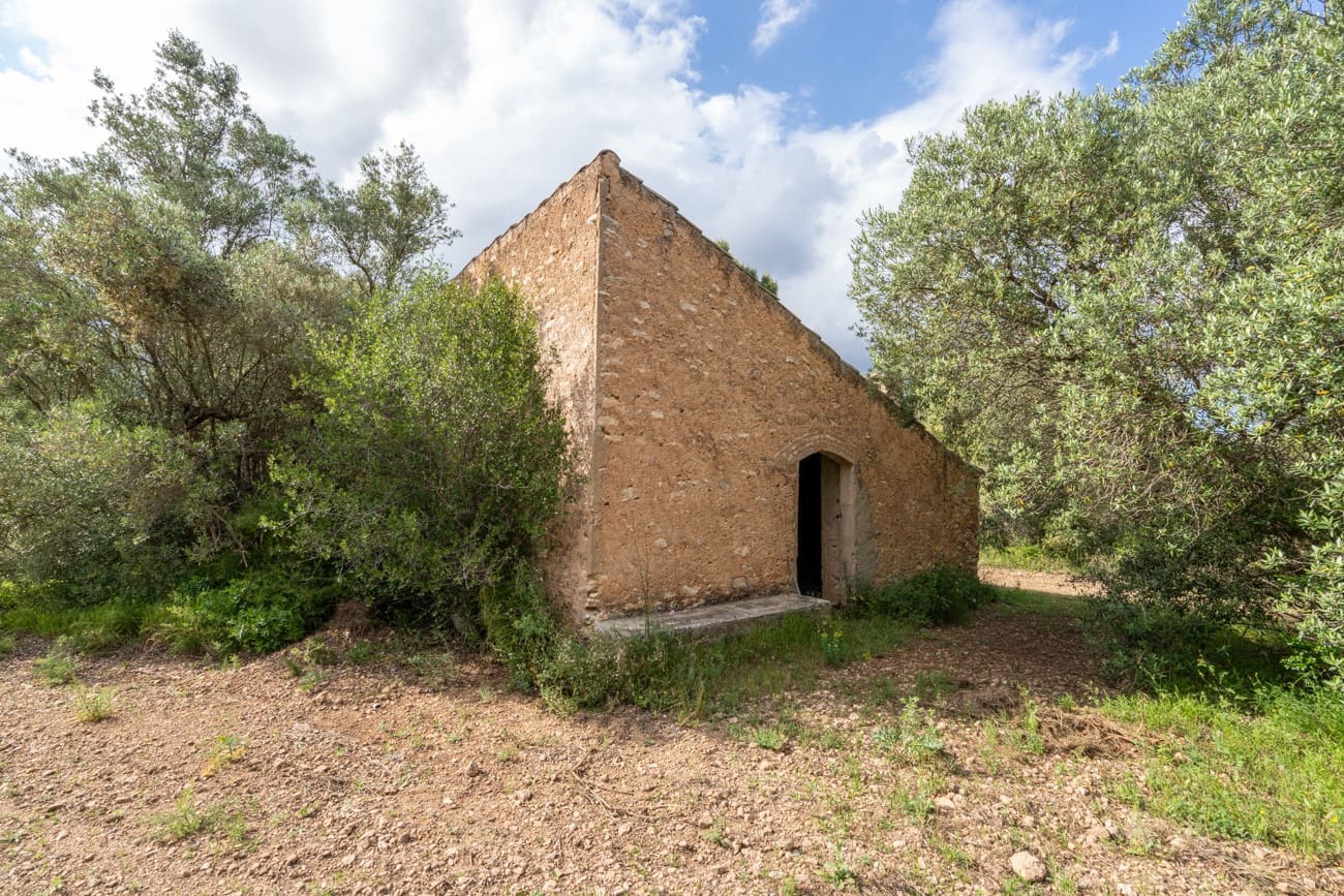 Finca/Country House for sale in Els Reguers - € 40,000 (Ref: 9833993)