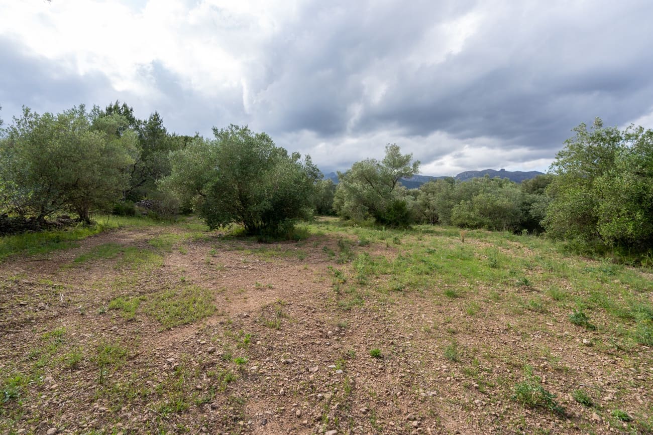 Finca/Country House for sale in Els Reguers - € 40,000 (Ref: 9833993)