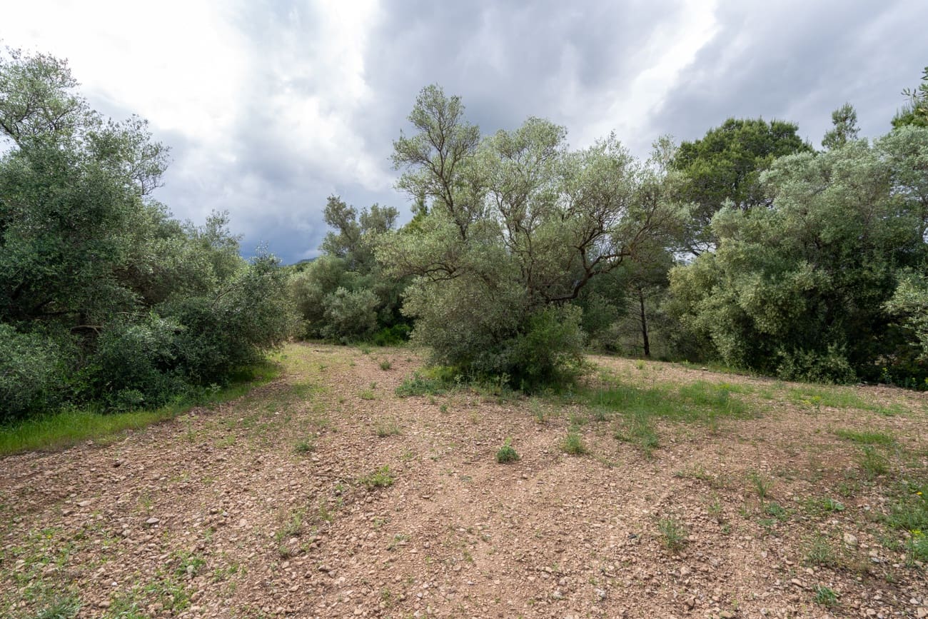 Finca/Country House for sale in Els Reguers - € 40,000 (Ref: 9833993)