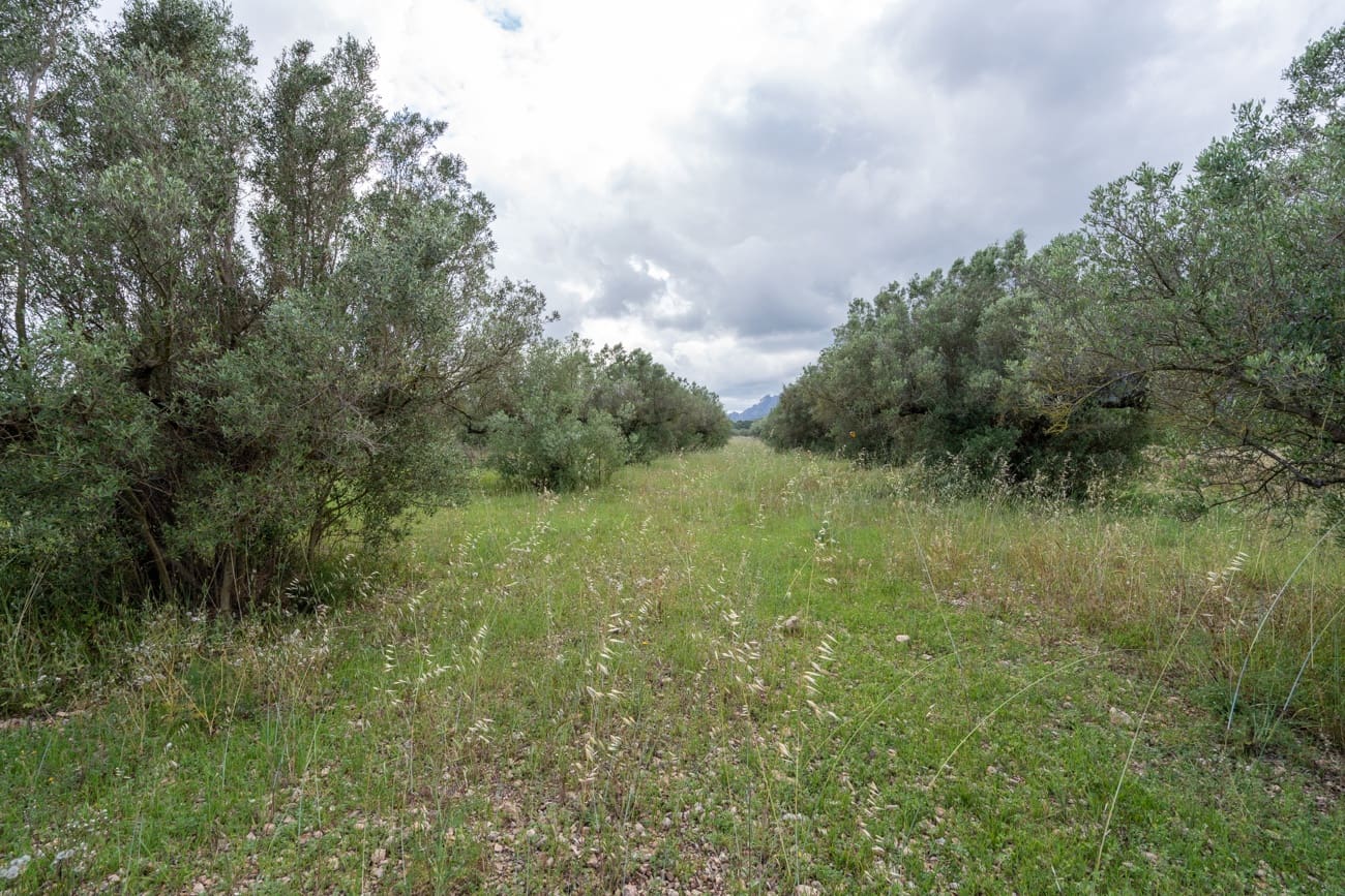 Finca/Country House for sale in Els Reguers - € 40,000 (Ref: 9833993)