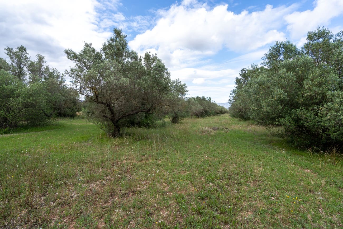 Finca/Country House for sale in Els Reguers - € 40,000 (Ref: 9833993)